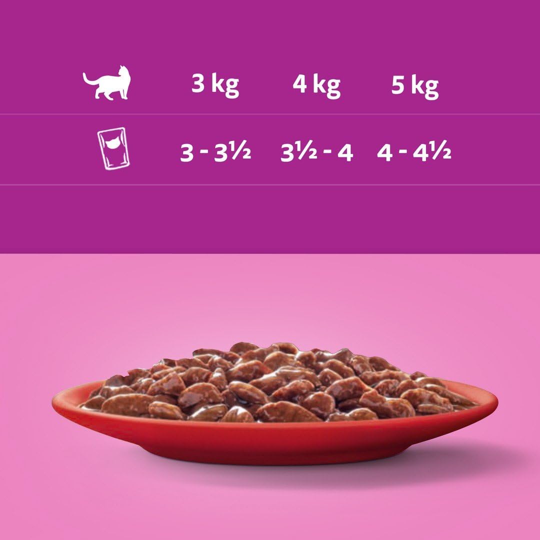 whiskas 1 plus Adult Mixed Selection in Jelly 84 Pouches, Adult Wet Cat Food, Megapack (84 x 85 g)