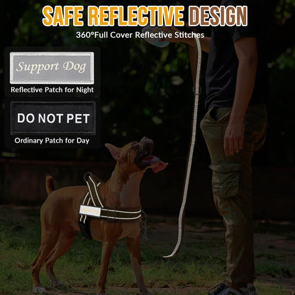 Eyein No Pull Reflective Dog Harness & Lead Set
