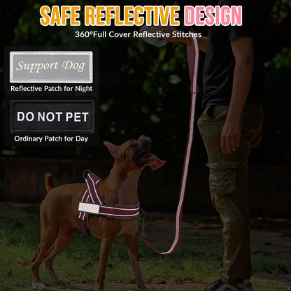 Eyein No Pull Reflective Dog Harness & Lead Set