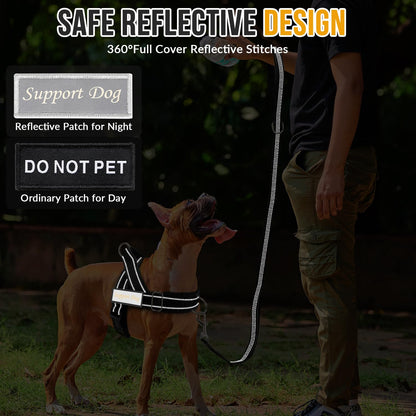 Eyein No Pull Reflective Dog Harness & Lead Set