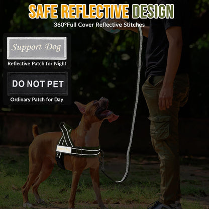 Eyein No Pull Reflective Dog Harness & Lead Set