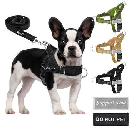 Eyein No Pull Reflective Dog Harness & Lead Set