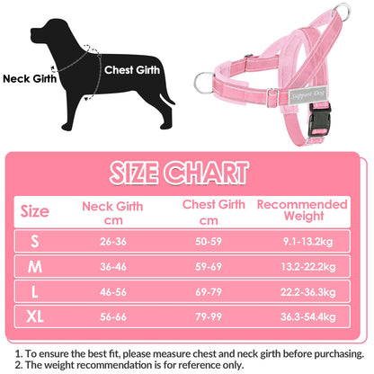 Eyein No Pull Reflective Dog Harness & Lead Set