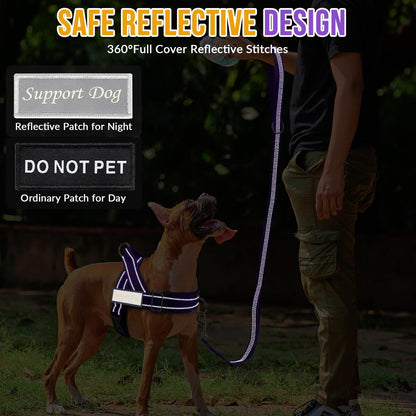 Eyein No Pull Reflective Dog Harness & Lead Set