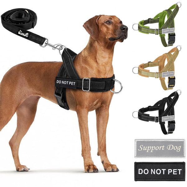 Eyein No Pull Reflective Dog Harness & Lead Set