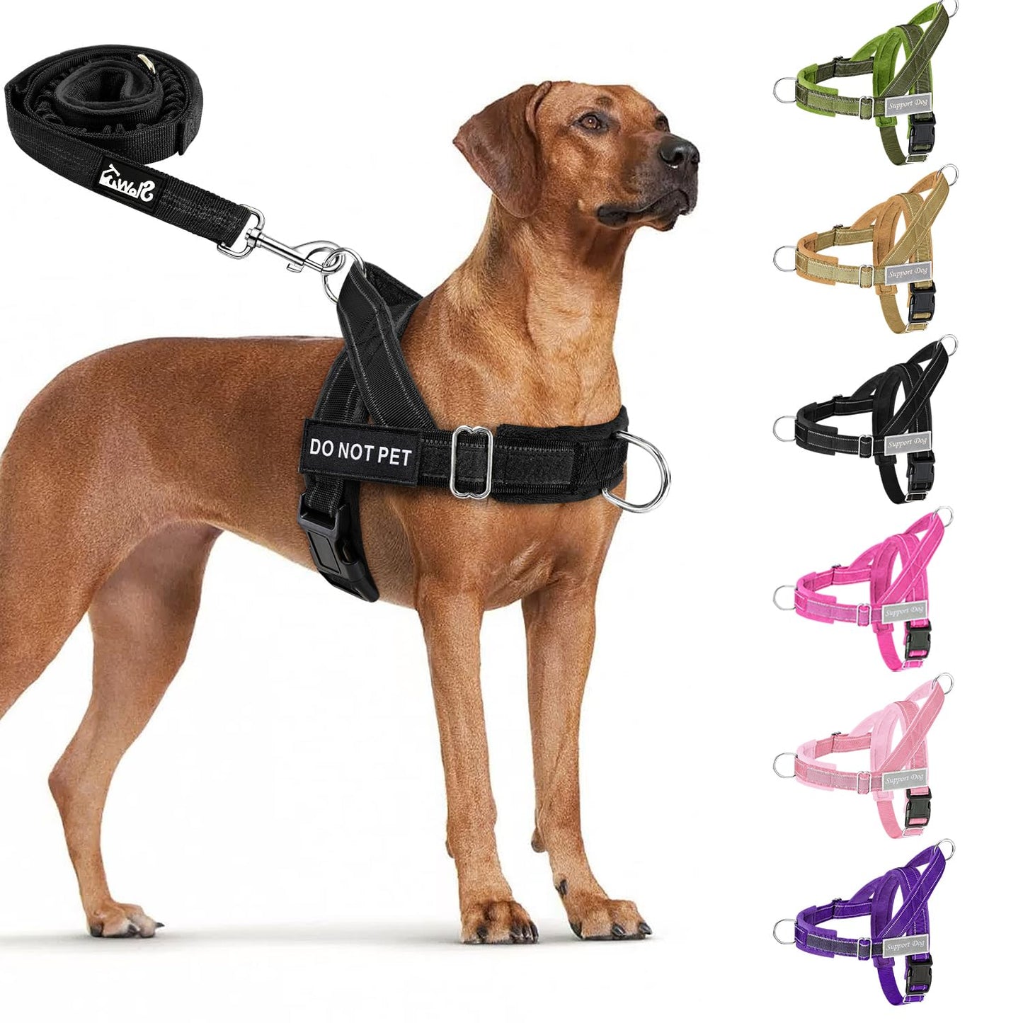 Eyein No Pull Harness for Dogs - Heavy Duty Soft Padded Pet Vest and Lead Set for Medium Large Dog, Adjustable Reflective Anti-pull with Front Clip for Walking Training(Black,L)