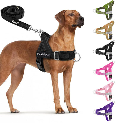 Eyein No Pull Reflective Dog Harness & Lead Set