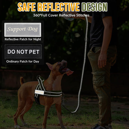 Eyein No Pull Reflective Dog Harness & Lead Set