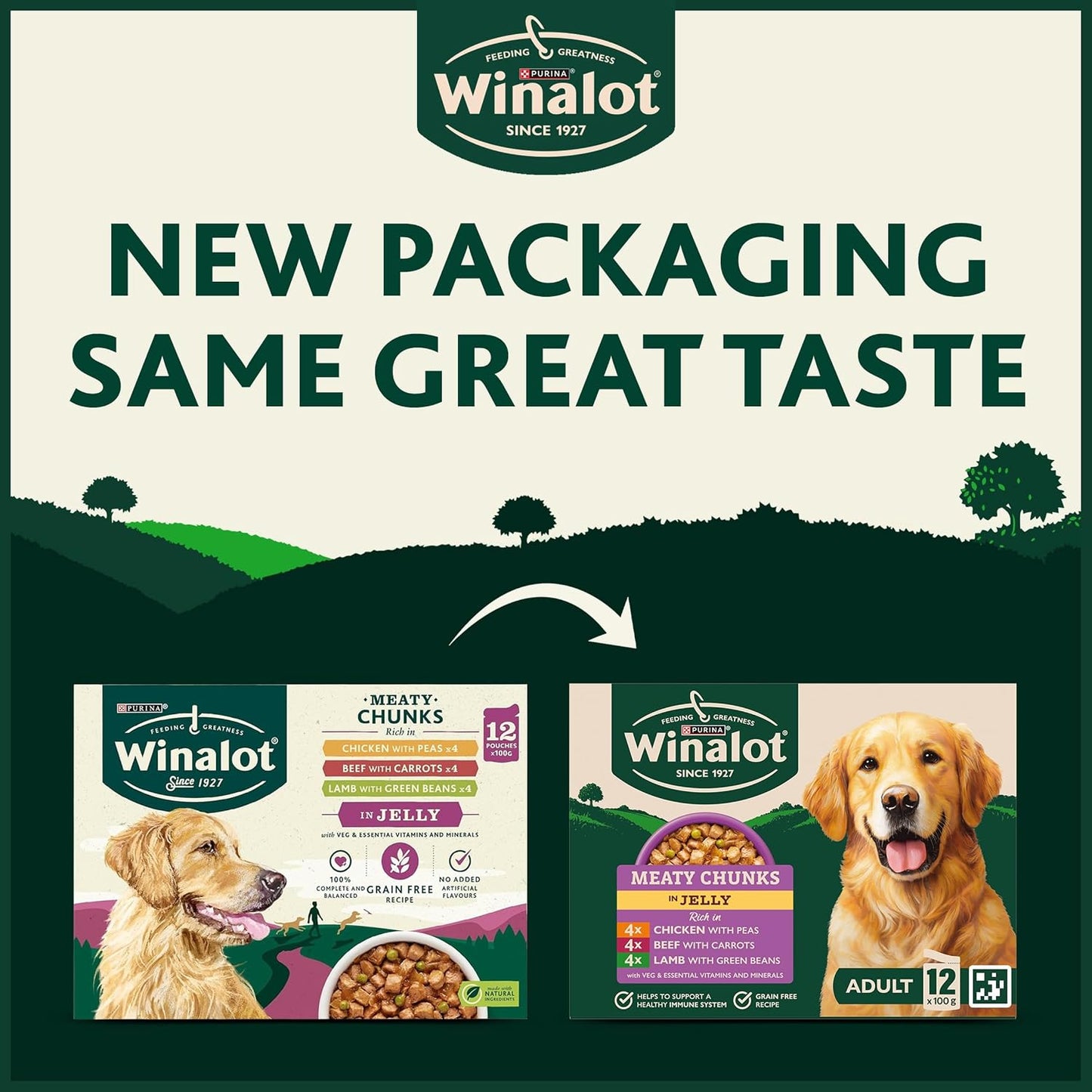 WINALOT Sunday Dinner Mixed in Gravy Wet Dog Food 40x100g