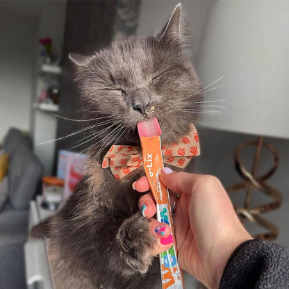 Webbox Lick-e-Lix Cat Treats – Variety Pack