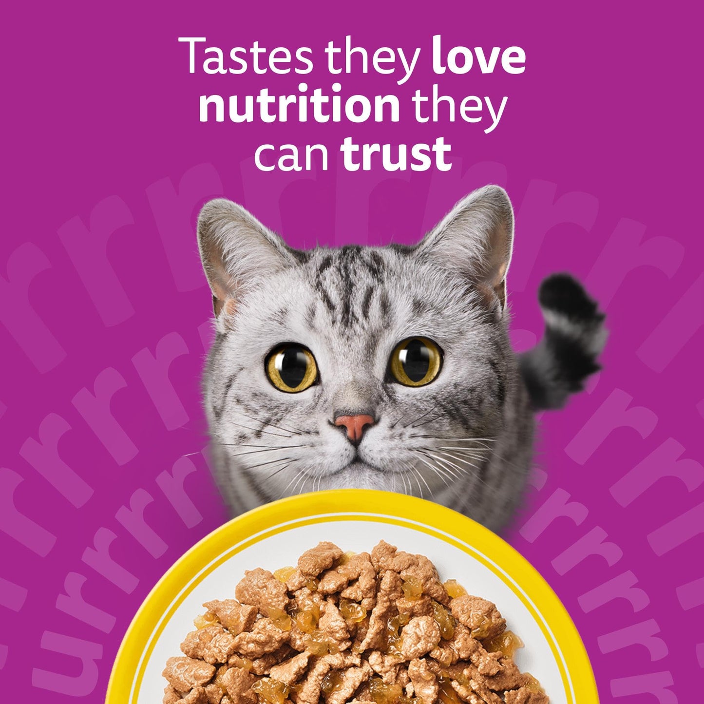 whiskas 1 plus Adult Mixed Selection in Jelly 84 Pouches, Adult Wet Cat Food, Megapack (84 x 85 g)