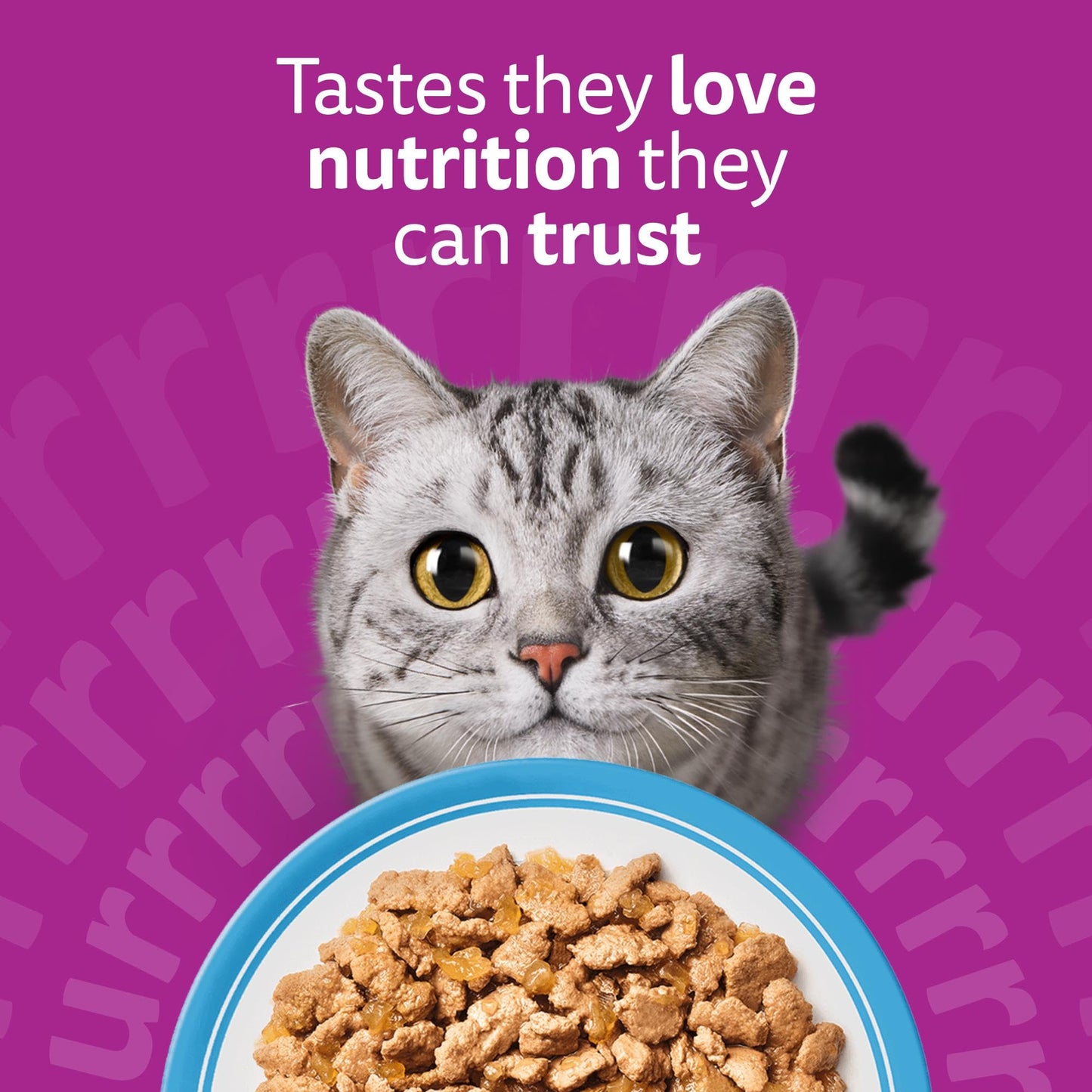 whiskas 1 plus Adult Mixed Selection in Jelly 84 Pouches, Adult Wet Cat Food, Megapack (84 x 85 g)