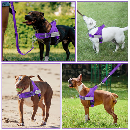 Eyein No Pull Reflective Dog Harness & Lead Set