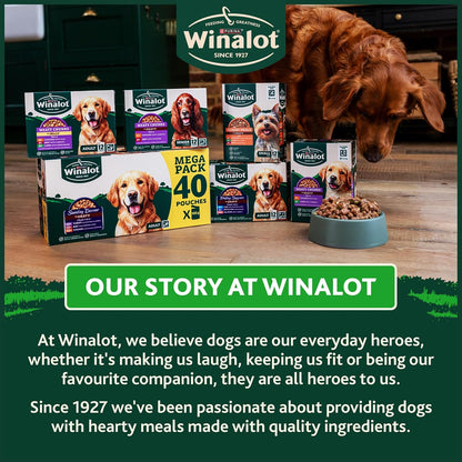 WINALOT Sunday Dinner Wet Dog Food