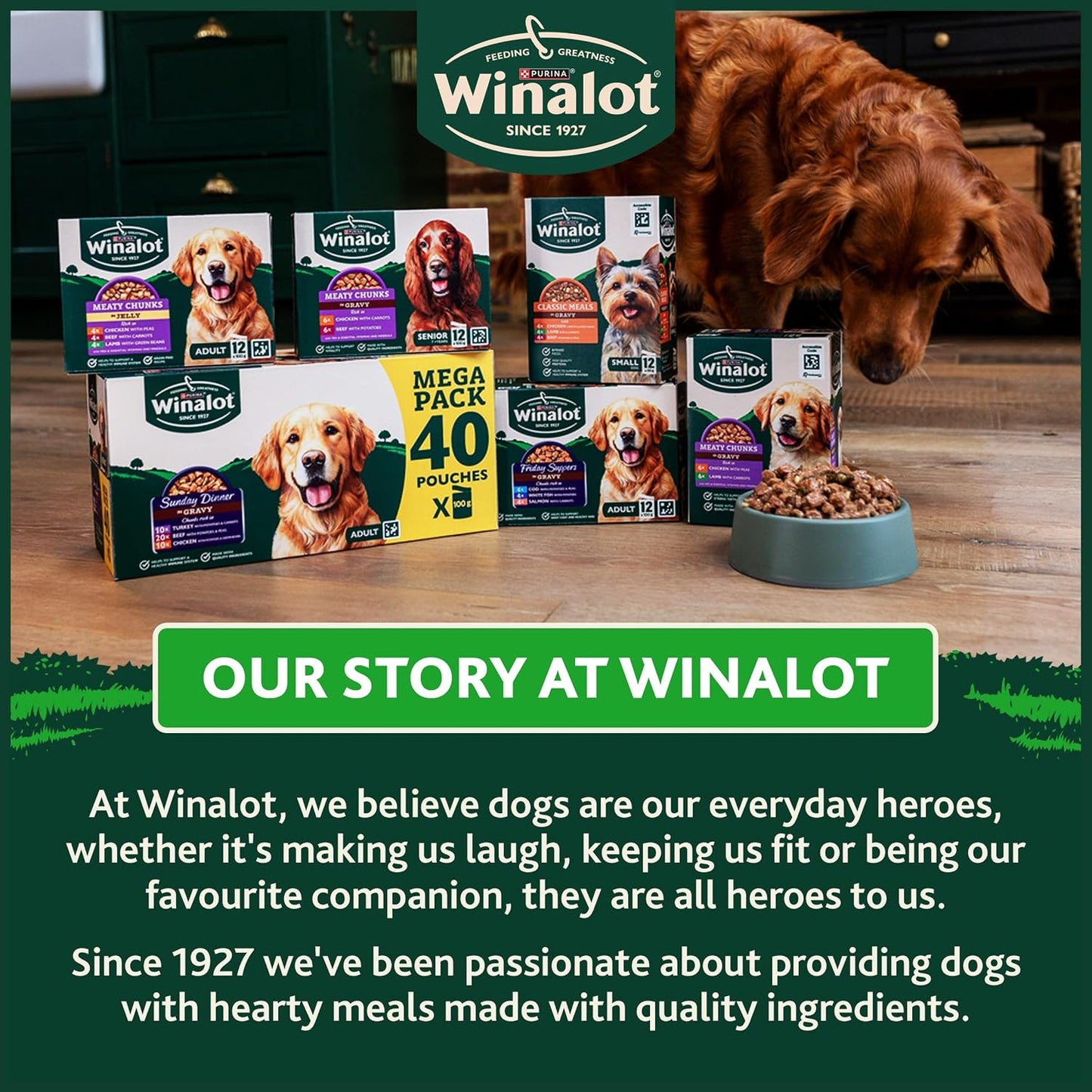 WINALOT Sunday Dinner Mixed in Gravy Wet Dog Food 40x100g