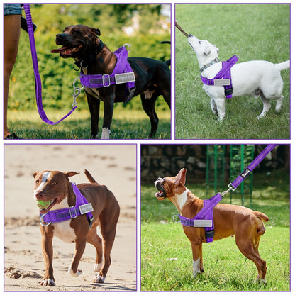 Eyein No Pull Reflective Dog Harness & Lead Set