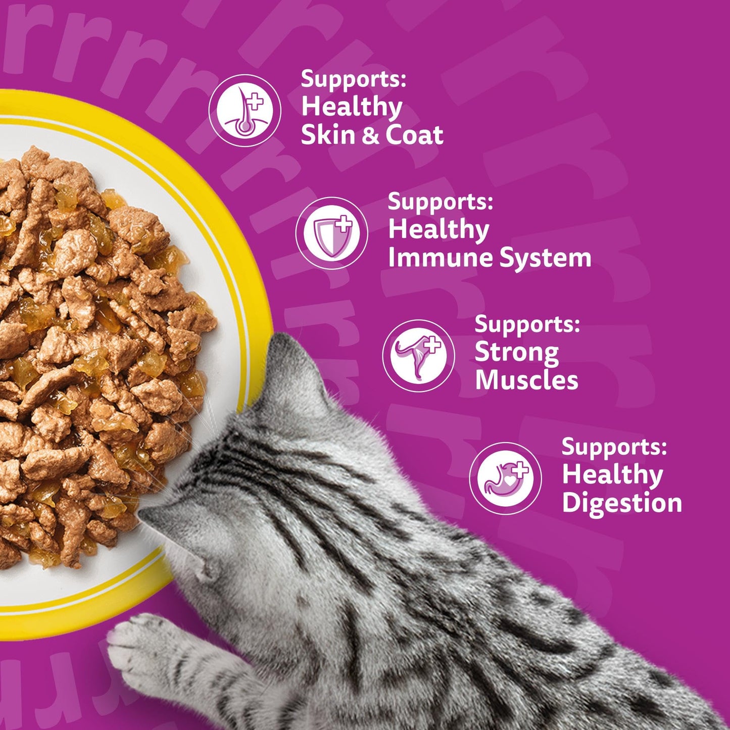 whiskas 1 plus Adult Mixed Selection in Jelly 84 Pouches, Adult Wet Cat Food, Megapack (84 x 85 g)