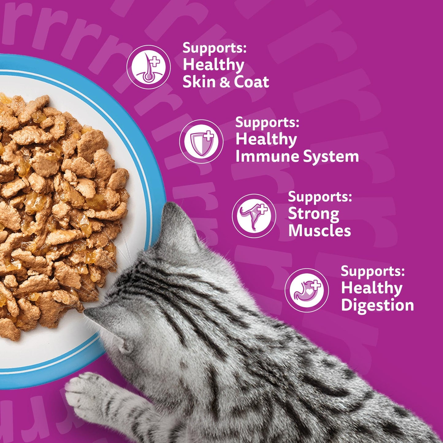 whiskas 1 plus Adult Mixed Selection in Jelly 84 Pouches, Adult Wet Cat Food, Megapack (84 x 85 g)