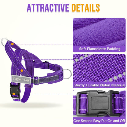 Eyein No Pull Reflective Dog Harness & Lead Set