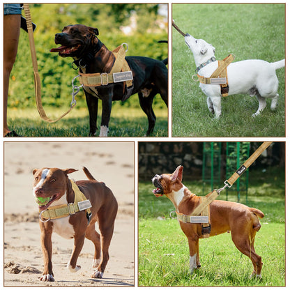Eyein No Pull Reflective Dog Harness & Lead Set