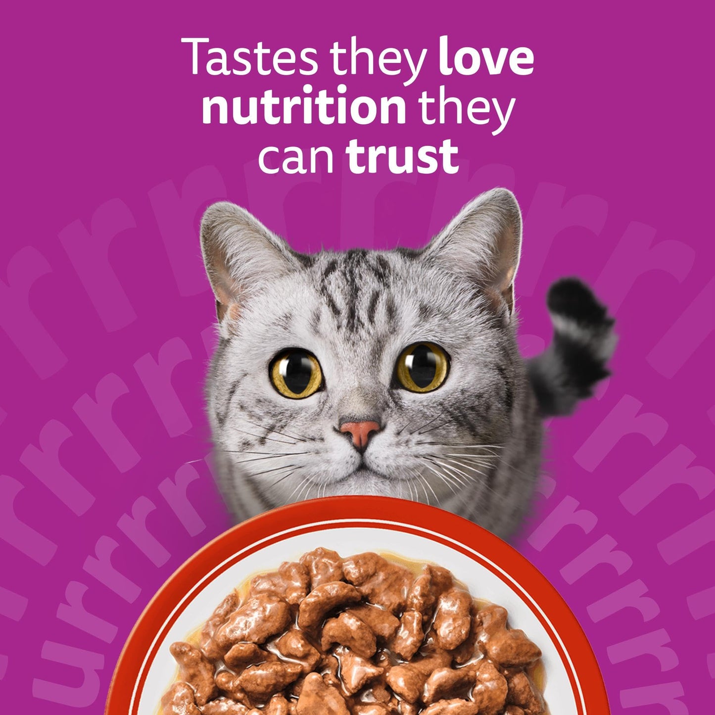 whiskas 1 plus Adult Mixed Selection in Jelly 84 Pouches, Adult Wet Cat Food, Megapack (84 x 85 g)