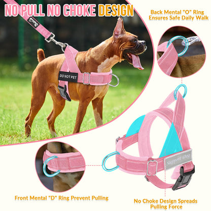 Eyein No Pull Reflective Dog Harness & Lead Set