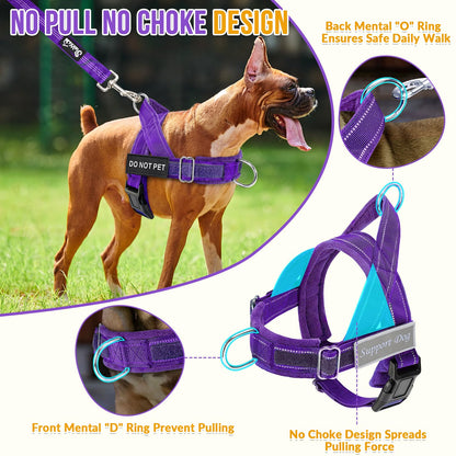 Eyein No Pull Reflective Dog Harness & Lead Set