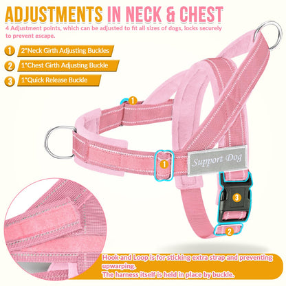 Eyein No Pull Reflective Dog Harness & Lead Set