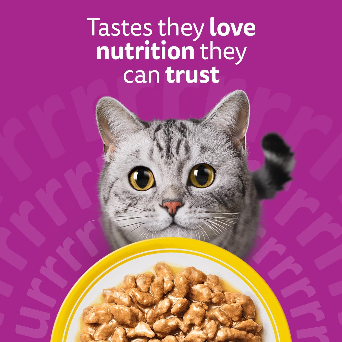 whiskas 1 plus Adult Mixed Selection in Jelly 84 Pouches, Adult Wet Cat Food, Megapack (84 x 85 g)