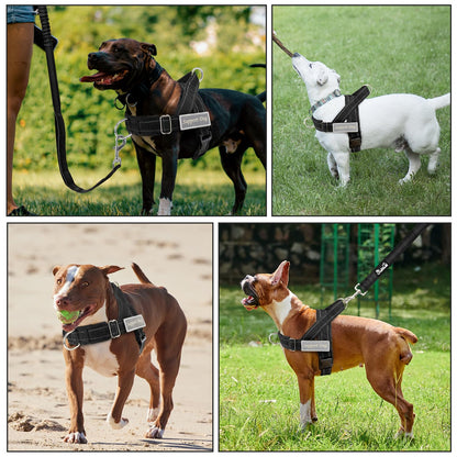 Eyein No Pull Reflective Dog Harness & Lead Set