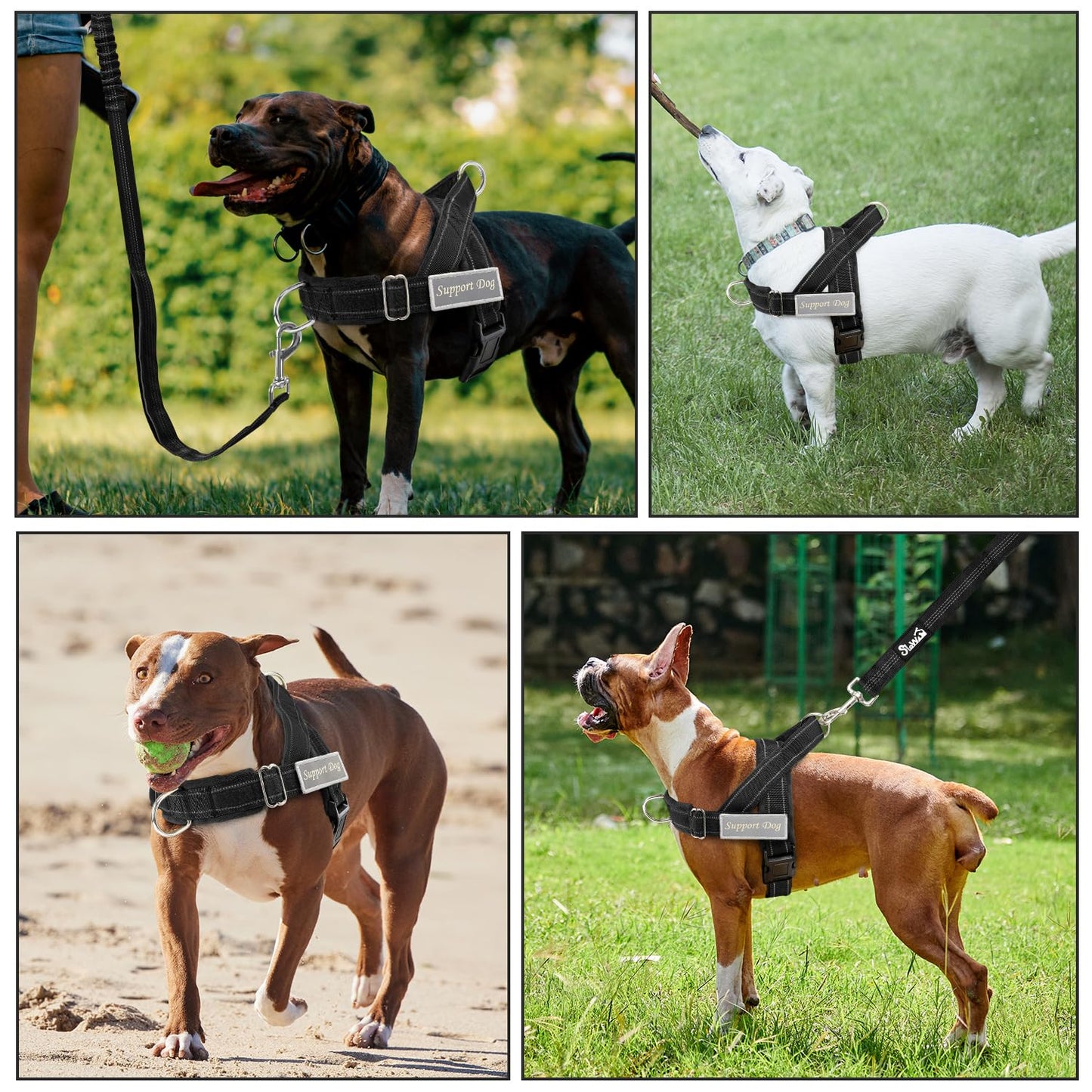 Eyein No Pull Harness for Dogs - Heavy Duty Soft Padded Pet Vest and Lead Set for Medium Large Dog, Adjustable Reflective Anti-pull with Front Clip for Walking Training(Black,L)