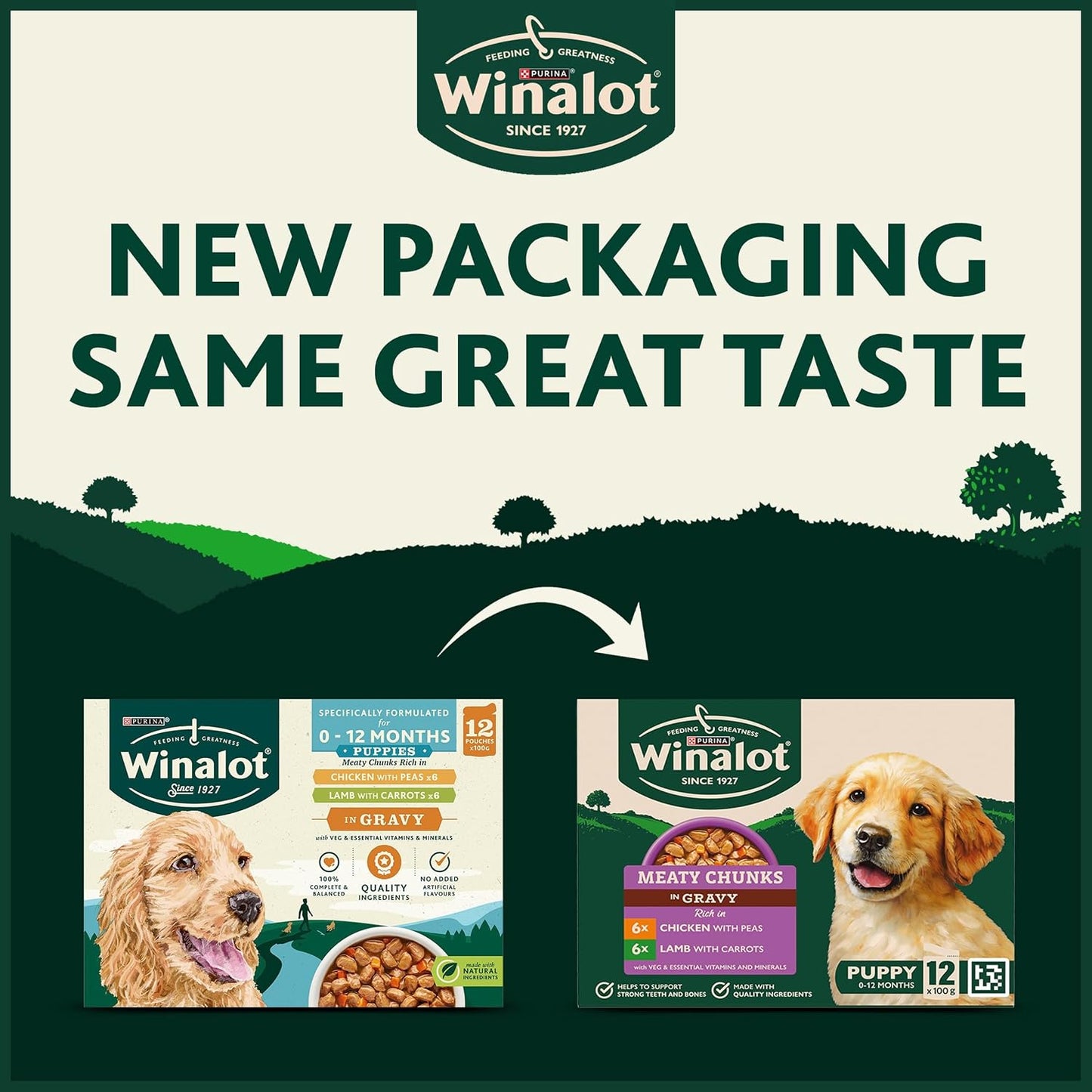 WINALOT Sunday Dinner Mixed in Gravy Wet Dog Food 40x100g