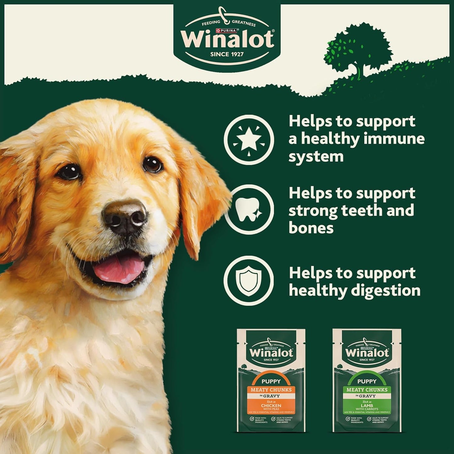 WINALOT Sunday Dinner Mixed in Gravy Wet Dog Food 40x100g