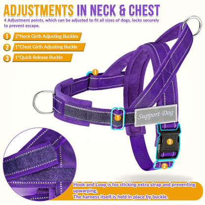 Eyein No Pull Reflective Dog Harness & Lead Set