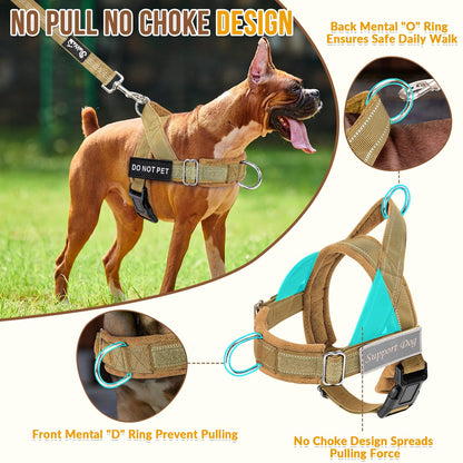 Eyein No Pull Reflective Dog Harness & Lead Set
