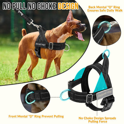 Eyein No Pull Reflective Dog Harness & Lead Set