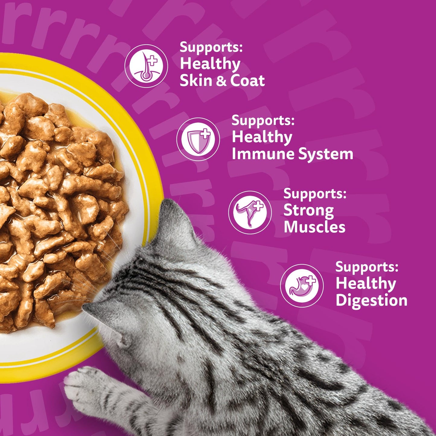 whiskas 1 plus Adult Mixed Selection in Jelly 84 Pouches, Adult Wet Cat Food, Megapack (84 x 85 g)