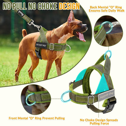 Eyein No Pull Reflective Dog Harness & Lead Set