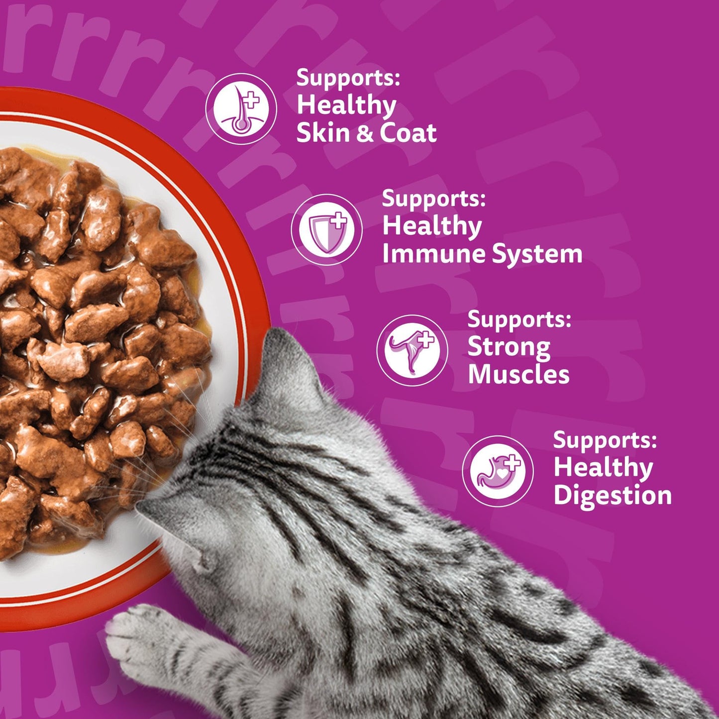 whiskas 1 plus Adult Mixed Selection in Jelly 84 Pouches, Adult Wet Cat Food, Megapack (84 x 85 g)