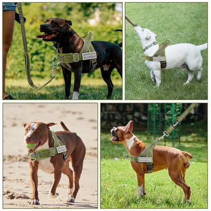 Eyein No Pull Reflective Dog Harness & Lead Set