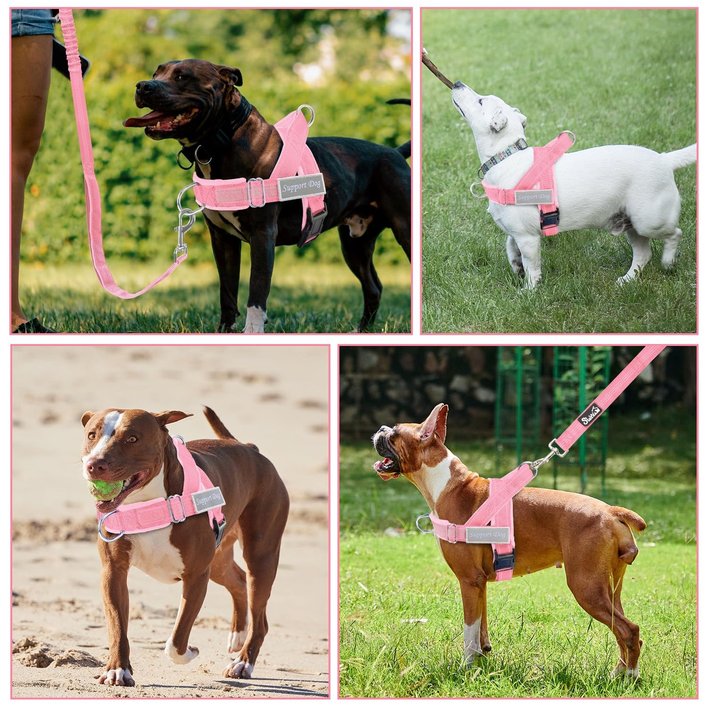 Eyein No Pull Harness for Dogs - Heavy Duty Soft Padded Pet Vest and Lead Set for Medium Large Dog, Adjustable Reflective Anti-pull with Front Clip for Walking Training(Black,L)