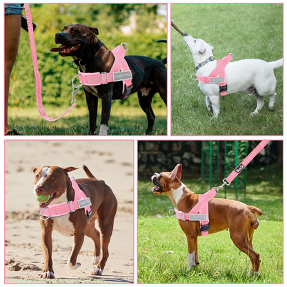 Eyein No Pull Reflective Dog Harness & Lead Set
