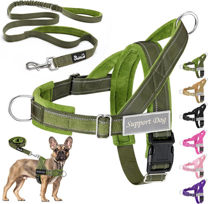 Eyein No Pull Reflective Dog Harness & Lead Set