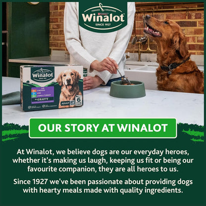 WINALOT Sunday Dinner Wet Dog Food